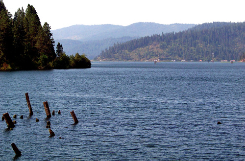 Old pilings at Shingle Bay are being reclaimed by nature on Lake Coeur d'Alene
